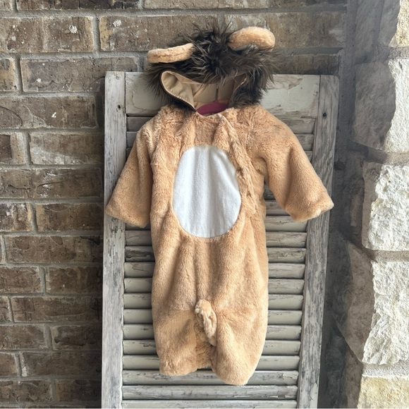 Pottery Barn Kids Costumes Pottery Barn Kids Lion Baby